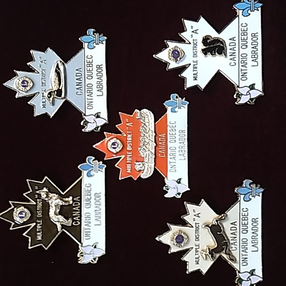 Rare Vintage Lions Club Pins, Dog, Deer, Loon, Voyager Canoe, Squirrel, Maple 🍁